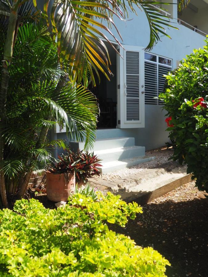 Kas Di Bami A-186 Op Seru Coral Resort - Ruim Appartement Met Groot Zwembad En Tropische Tuin Willemstad Luaran gambar