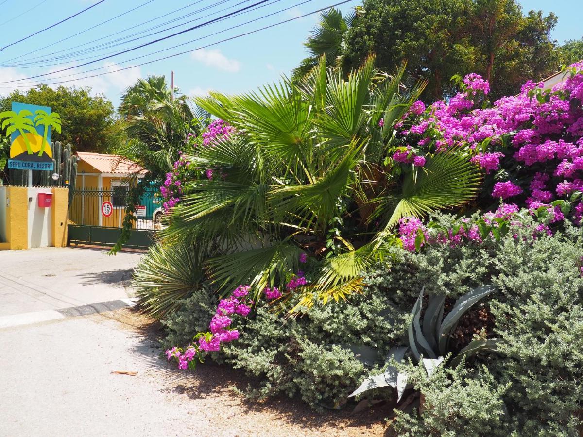 Kas Di Bami A-186 Op Seru Coral Resort - Ruim Appartement Met Groot Zwembad En Tropische Tuin Willemstad Luaran gambar