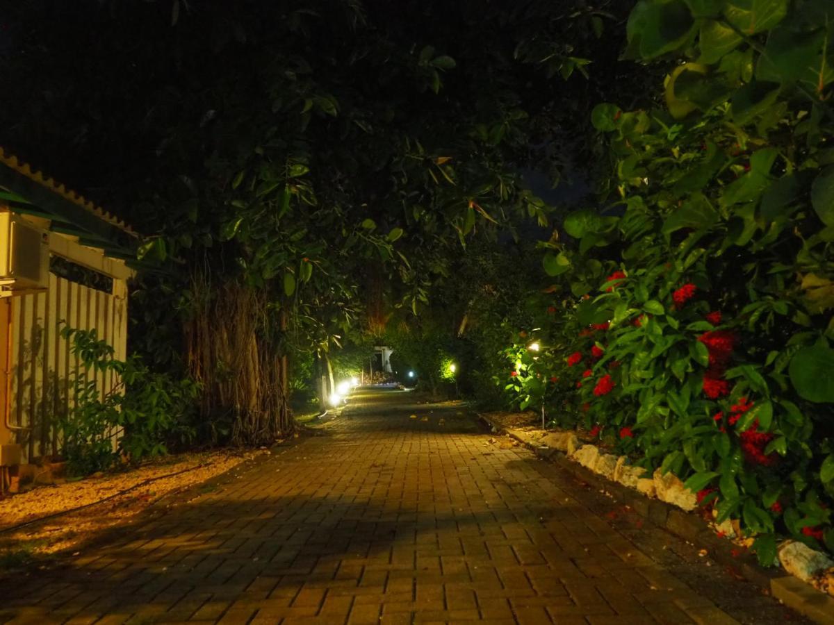 Kas Di Bami A-186 Op Seru Coral Resort - Ruim Appartement Met Groot Zwembad En Tropische Tuin Willemstad Luaran gambar